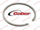 Сегмент 39мм X 1.5мм Caber