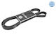 Dynamo Belt 7pk2418 Mercedes C-Class 00-15 Clc 08-11 Clk 02-10 E-Class 02-09 Slk 04-11/Mitsubishi Pajero 99-07 0500072418 0500072418-10761