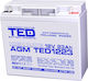 Baterie Ted Electric Ted003348 12V Rată Mare Dimensiuni 181 X 76 X 167 Mm 12V 23Ah F3 Baterie