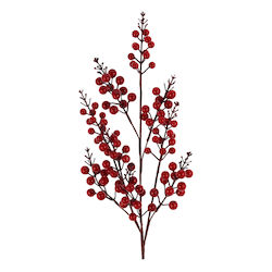 TnS 04BERRIES