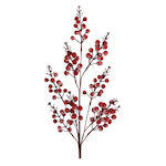 Berries Weihnachtskränze Χιοnisiert 75cm