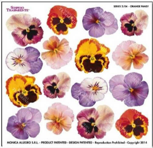 Τυπωμένο Φύλλο-ζελατίνη Sospeso Sts2.04 Orange Pansy