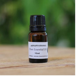 iCosmetics Essential Oil Rosemary 10ml iCosmetics Essential Oil Rosemary 10ml