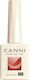 Canni Sparkle Ημιμόνιμο Βερνίκι Νυχιών No 8030 ...
