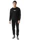 Minerva Black
