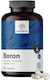 Healthy World Bor 3mg 365 capsule