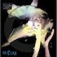 Cure Head On Door Lp Picture Vinyl Rsd '25