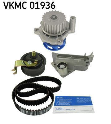 Skf Vkmc 01936 Wasserpumpe Steuerzeiten Gürtel Set