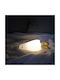 Winkee Kids Decorative Lamp