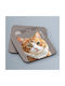 Tiger Cat Rote Untersetzer