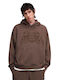 Sweatshirt mit Kapuze Bronze