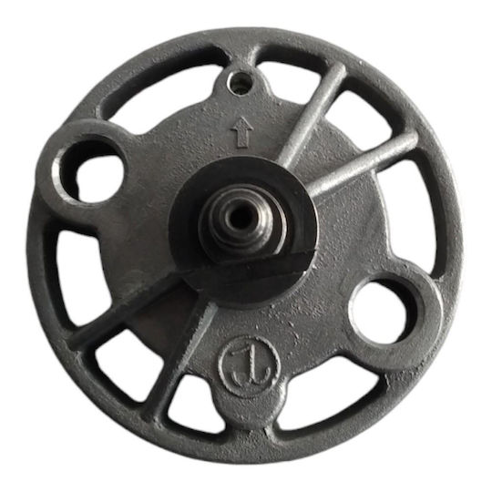 Pompa de Ulei Nipponia Sporty 125/gy6 125 Gn