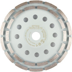 Disc de Șlefuire cu Diamant 2 Segmente 180 X 22.2 Mm Pentru Uscat