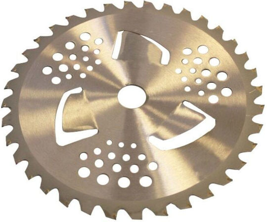 Brushcutter Disc Wings Diameter 255 Mm Bore 25.4 Mm 40 Carbide Teeth Cobi Smart