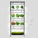 Vevor Grow Light 5000K with LED and Power 192W