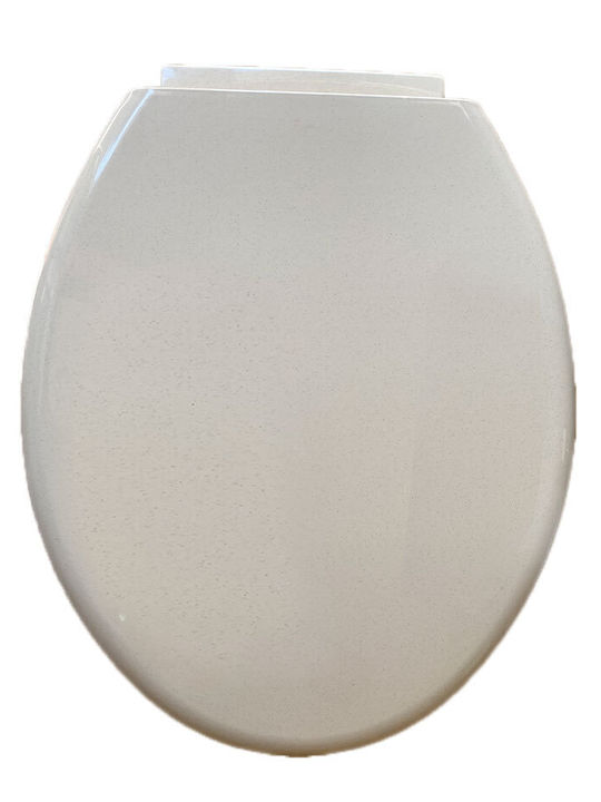 MRShome Plastic Soft Close Toilet Seat White