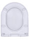 Plastic Toilet Seat Gray