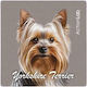 Action Lab Yorkshire Terrier Refrigerator Magnet