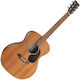 Martin Semi-Acoustic Guitar Martin Natural