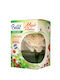 Brait Raumdüfte Magic Flower mit Parfüm Brait Frühlingsgarten 75ml