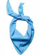 Parade scarf Women's Scarf Light Blue