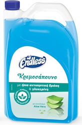 Endless Detergent Profesional Pentru Mâini cu Acțiune Dezinfectantă