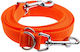 4wild.eu Hundeleine/Führleine Riemen in Orange Farbe