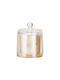 Aromatische Kerze Glasdeckel Golden Birch 9×8cm
