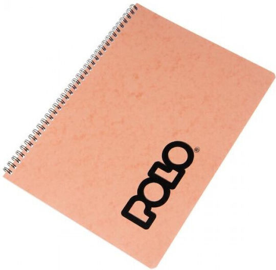 Polo Σπιράλ Τετράδιο Ριγέ Β5 2 Θεμάτων Note Ροζ