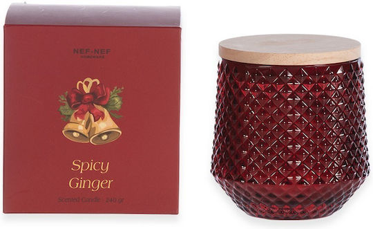 Nef-Nef Homeware Spicy Ginger Christmas Red Candle