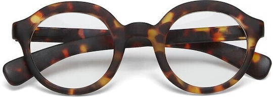 Okkia Reading Glasses +3.00 in Brown color OK041CH-300-370593