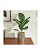 Artificial Plant Pot Φ34x54 A-s Sky 210134 Plastic