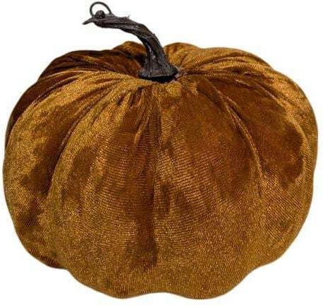 Karamellierte Velvet-Kürbis Große Edg 19x16 cm