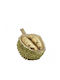 Zaros Exotic Fruit Durian Green Gold Color 15cm Tm429