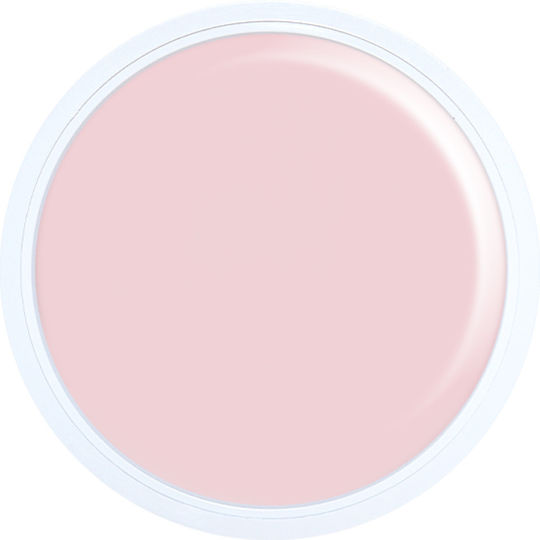 Alezori Acrygel Gel pentru Unghii Natural NPJ 30gr
