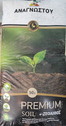 Solul Pentru Plante 50lt Solul Pentru Plante 50lt