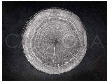 Vilde Plate Shallow Gray with Diameter 29cm