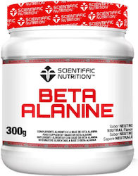 Scientiffic Nutrition Beta Alaline 300gr Natural Scientiffic Nutrition Beta Alaline 300gr Natural