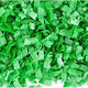 SMAKOP Dekorative Knusperkugeln Grüne 100gr