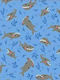 Μαξιλάρι Baby Shark Διαστάσεις 45*45