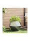vidaXL Ghiveci Metal Silver 75x75x60cm.