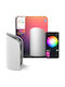 Philips Smart Decorative Table Lamp Hue Play