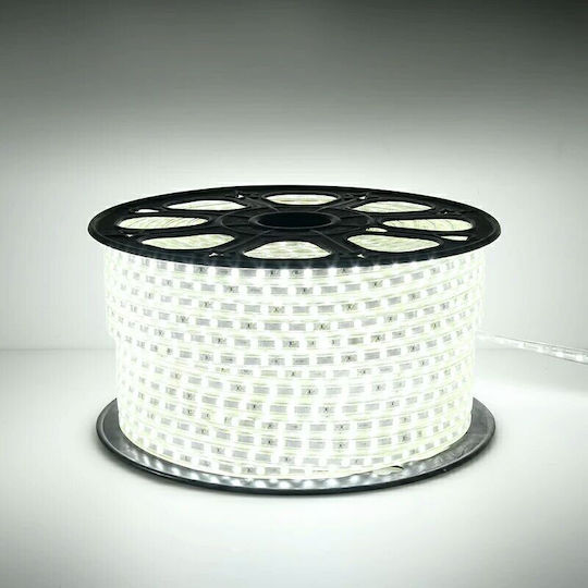 LED Strip 5050 6mm White Lighting Aerbes Ab-z845