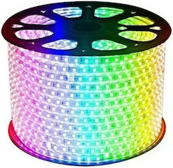 LED-Streifen 5050 100m 10mm RGB-60d Rolle Aerbes Ab-z004 LED-Streifen 5050 100m 10mm RGB-60d Rolle Aerbes Ab-z004
