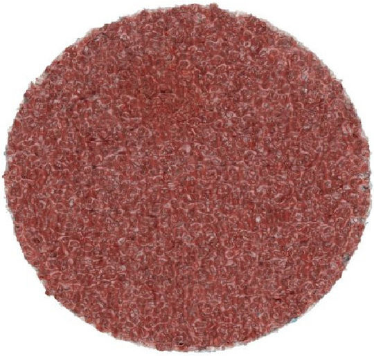 Lukas Φύλλο Λείανσης Έκκεντρου Τριβείου 50x50mm Σετ 50τμχ
