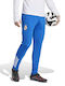 Tiro 25 Competition Sweatpants Glossy Blue