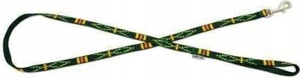 Dog Leash/Lead Strap in Green color