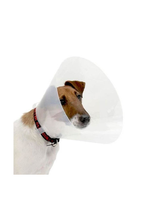 Zoopark Protective Elizabethan Dog Collar L 12-14cm Zoopark Protective Elizabethan Dog Collar L 12-14cm
