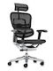 Ergohuman 2 Pieces Office Chair With Adjustable Arms Black