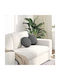 vidaXL Sofa Cushion Dark Gray 2pcs 30x30cm.